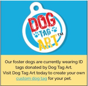 Dogtaglarge