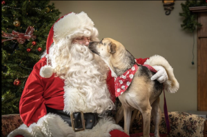 Santa10