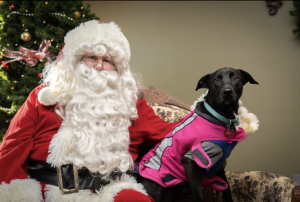 Santa14