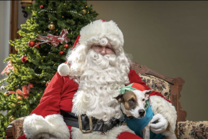 Santa15