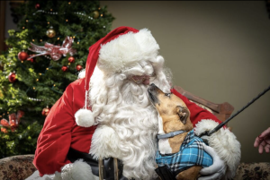 Santa16