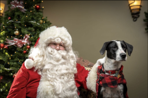 Santa17