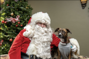 Santa18