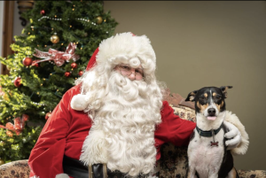 Santa19