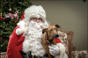 Santa20