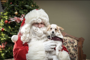 Santa22