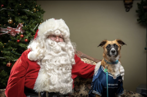 Santa23