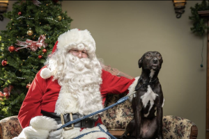 Santa24