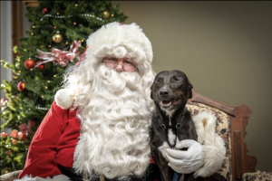 Santa25