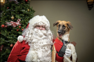 Santa27