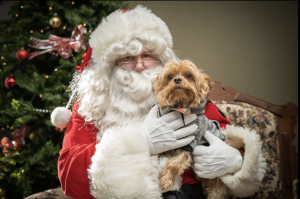 Santa28