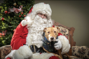 Santa35