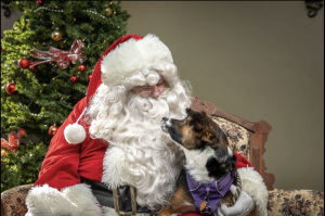 Santa4
