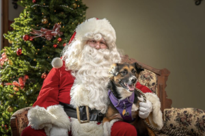 Santa5