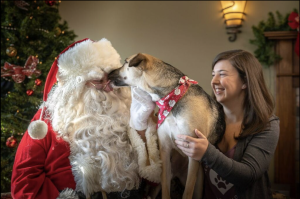 Santa7