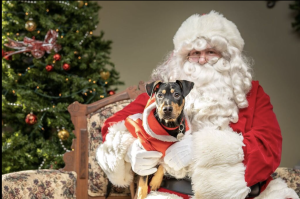 Santa8