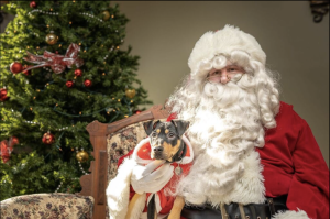 Santa9