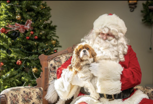 Santa1