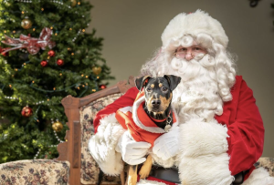 Santa2